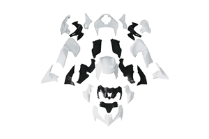 Verkleidungen abs Kawasaki Z900 2020 - 2022 mit Kotflugel zu lackieren - MXPCAD17936