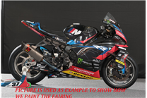 Carenado Racing Pintado Bmw M 1000 RR 2021 - 2022 - MXPCRV17972