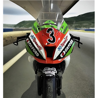 Painted Race Fairings Kawasaki Zx10R 2016 - 2020 - MXPCRV17985