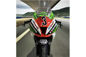 Painted Race Fairings Kawasaki Zx10R 2016 - 2020 - MXPCRV17985