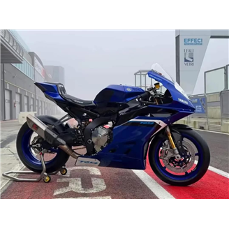 Painted Race Fairings Yamaha Yamaha R9 2025 - MXPCRV18034