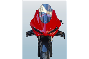 Ducati Schwingen rechts und links auf Carbon für Ducati Panigale V4 R - MXPCCB16744