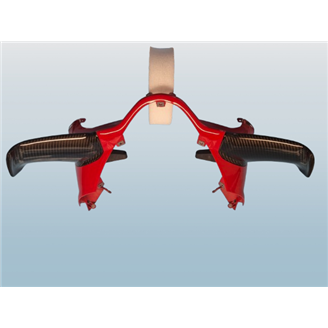 Ducati Schwingen rechts und links auf Carbon für Ducati Panigale V4 R - MXPCCB16744