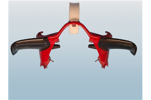 Ducati Schwingen rechts und links auf Carbon für Ducati Panigale V4 R - MXPCCB16744