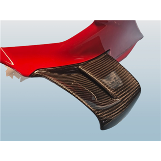 Ducati Schwingen rechts und links auf Carbon für Ducati Panigale V4 R - MXPCCB16744