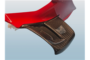 Ducati Schwingen rechts und links auf Carbon für Ducati Panigale V4 R - MXPCCB16744