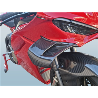 Ducati Schwingen rechts und links auf Carbon für Ducati Panigale V4 R - MXPCCB16744