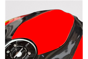 Carenado Racing Pintado Bmw S1000 RR 2019 - 2022 - MXPCRV18088