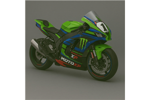 Lackierte Straße Verkleidung auf ABS kompatibel mit Kawasaki ZX10R 2021 - 2025 - MXPCAV18146