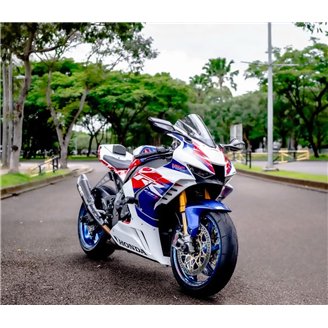 Lackierte Straße Verkleidung auf ABS kompatibel mit Honda Cbr 1000-RR-R 2020 - 2023 - MXPCAV16600