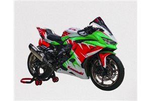Carene Racing Verniciate Kawasaki Ninja ZX4-R 2024 - 2025 - MXPCRV18291