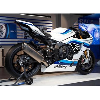 Carenado Racing Pintado Yamaha R1 2015 - 2019 - MXPCRV18298