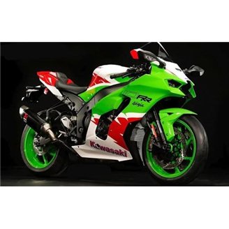 Lackierte Straße Verkleidung auf ABS kompatibel mit Kawasaki ZX10R 2021 - 2025 - MXPCAV18313