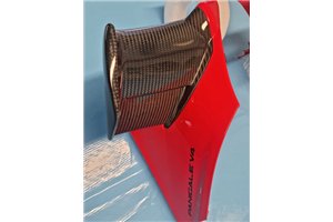 Ducati Schwingen rechts und links auf Carbon für Ducati Panigale V4 V4S V4R 2025 - MXPCCB18067