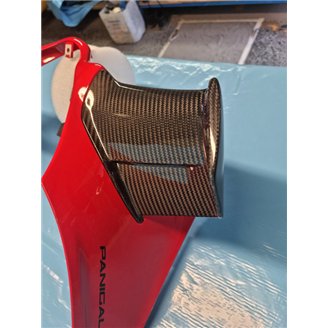 Ducati Schwingen rechts und links auf Carbon für Ducati Panigale V4 V4S V4R 2025 - MXPCCB18067