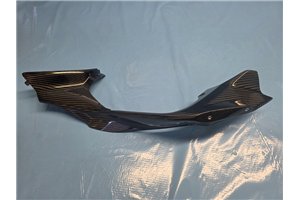 Ducati V4 2025 Verkleidung Kohlenstoff Komplet und Hoecker racing - MXPCCB18340