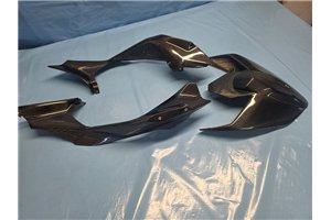 Ducati V4 2025 Verkleidung Kohlenstoff Komplet und Hoecker racing - MXPCCB18340