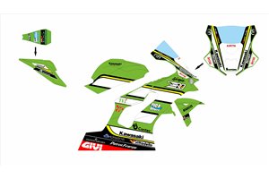 Painted Race Fairings Kawasaki Zx10R 2021 - 2025 MXPCRV18348