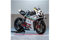 Painted Race Fairings Ducati Panigale V4 R 2019 - 2021 -MXPCRV18363