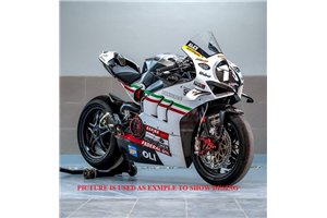 Lackierte Rennverkleidung Ducati Panigale V4 V4S 2020 - 2021 - MXPCRV18365