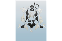 Carene abs Bmw S 1000 RR 2023 - 2024 complete di parafango da verniciare - MXPCAD17322