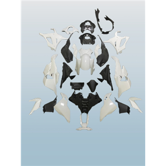 Bmw S 1000 RR 2023 - 2024 Complete and unpainted farings in abs with front fender - MXPCAD17322