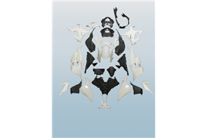 Verkleidungen abs Bmw S 1000 RR 2023 - 2024 mit Kotflugel zu lackieren - MXPCAD17322