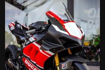 Painted Race Fairings Ducati Panigale V4 V4S V4R 2022-2024 - MXPCRV18381