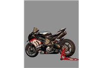 Painted Race Fairings Ducati Panigale V4 V4S 2020 - 2021 - MXPCRV18391