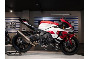 Painted Race Fairings Yamaha R1 2015 - 2019 - MXPCRV18407