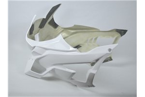 Bmw S1000 RR 2025-2026 fairings in 5 pieces without front fender - MXPCRD18410