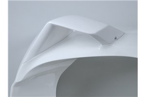 Bmw S1000 RR 2025-2026 Verkleidung mit Hoecker ohne Kotflugel - MXPCRD18410