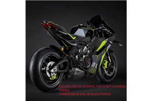 Painted street fairings in abs compatible with Ducati Ducati Panigale V4 V4S 2025 - MXPCAV18559