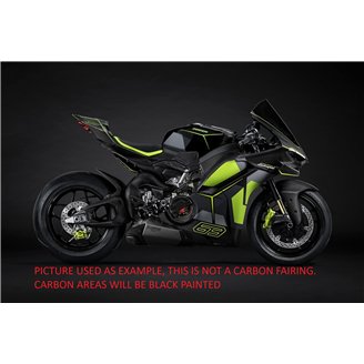 Carenados en abs pintados para la calle con Ducati Panigale V4 V4S 2025 - MXPCAV18559