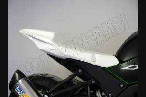 colin Kawasaki Zx10R 2011 - 2015 - MXPCRD2985