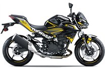 Kit adesivi compatibile con per KAWASAKI Z500 2024 - 2026 - MXPKAD18690