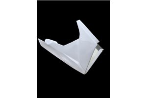 Verkleidungen ohne Kotflugel Triumph Daytona 675 2006 2012 - MXPCRD1851