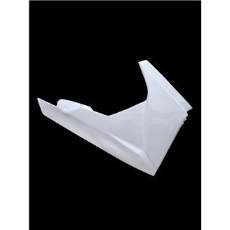 Complete fairings without front fender Triumph Daytona 675 2006 2012 - MXPCRD1851