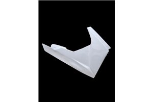 carenado completo sin guardabarros Triumph Daytona 675 2006 2012 - MXPCRD1851