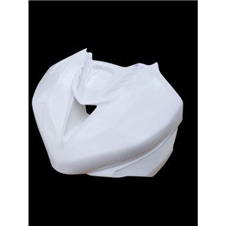 carenado completo sin guardabarros Triumph Daytona 675 2006 2012 - MXPCRD1851