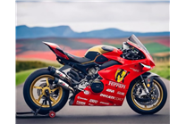 Carenados en abs pintados para la calle con Ducati Panigale V4 V4S 2025 - MXPCAV17725