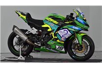 Painted Race Fairings Kawasaki Ninja ZX4-R 2024 - 2025 - MXPCRV18339