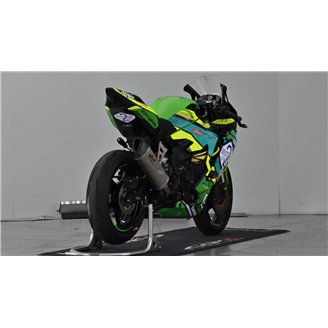 Painted Race Fairings Kawasaki Ninja ZX4-R 2024 - 2025 - MXPCRV18339
