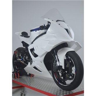 Bmw S1000 RR 2025-2026 Verkleidung mit Hoecker ohne Kotflugel - MXPCRD18410