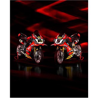 Carene Racing Verniciate Ducati Panigale V4 V4S V4R 2025-2026 + alette - MXPCRV18953