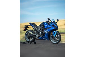 Lackierte Straße Verkleidung auf ABS kompatibel mit Suzuki Gsx-8R 2024 - 2026 - MXPCAV19061