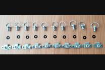 Race Package per Ducati 1199 Panigale: racing fairings + Fasteners - MXPCRD19080 2