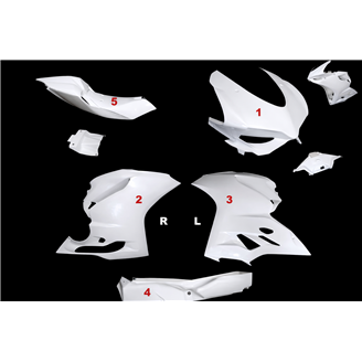 Race Package per Ducati 1199 Panigale: racing fairings + Fasteners - MXPCRD19080
