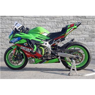 Painted Race Fairings Kawasaki Ninja ZX4-R 2024 - 2026 - MXPCRV18961