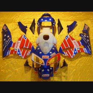 Lackierte Straße Verkleidung auf ABS kompatibel mit Honda CBR 600 RR 2003 - 2004 - MXPCAV3172